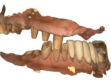 Dentallabor Feldmann - Digitale Daten 2