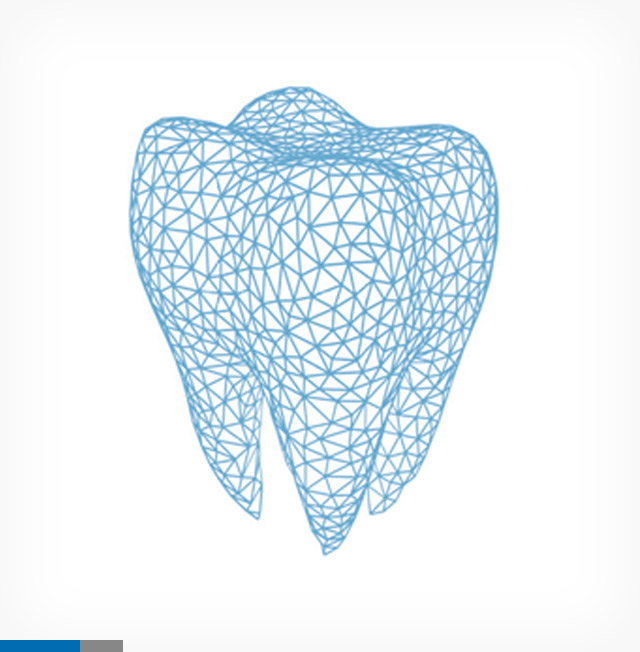 Dentallabor Feldmann: Zahnmodell